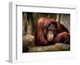 Relax-Stephen Arens-Framed Photographic Print