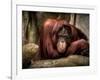 Relax-Stephen Arens-Framed Photographic Print