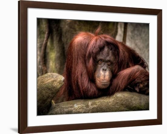 Relax-Stephen Arens-Framed Photographic Print