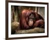 Relax-Stephen Arens-Framed Photographic Print