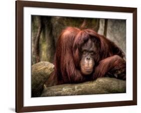 Relax-Stephen Arens-Framed Photographic Print