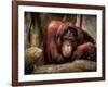 Relax-Stephen Arens-Framed Photographic Print