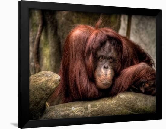 Relax-Stephen Arens-Framed Photographic Print