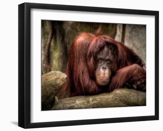 Relax-Stephen Arens-Framed Premium Photographic Print