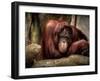 Relax-Stephen Arens-Framed Premium Photographic Print