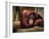 Relax-Stephen Arens-Framed Premium Photographic Print