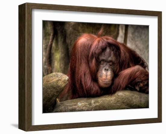 Relax-Stephen Arens-Framed Photographic Print