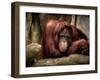 Relax-Stephen Arens-Framed Photographic Print