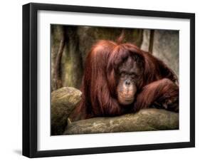 Relax-Stephen Arens-Framed Photographic Print