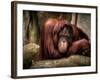 Relax-Stephen Arens-Framed Photographic Print