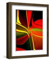 Relaxation-Ruth Palmer-Framed Art Print