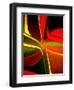 Relaxation-Ruth Palmer-Framed Art Print