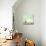 Relaxed Boy Breathing Fresh Air on a Meadow with Birds Flying in Background Sky-zurijeta-Photographic Print displayed on a wall