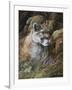 Relaxed But Attentive-Trevor V. Swanson-Framed Giclee Print