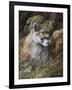 Relaxed But Attentive-Trevor V. Swanson-Framed Giclee Print