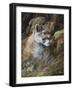 Relaxed But Attentive-Trevor V. Swanson-Framed Giclee Print