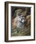 Relaxed But Attentive-Trevor V. Swanson-Framed Premium Giclee Print