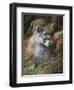 Relaxed But Attentive-Trevor V. Swanson-Framed Premium Giclee Print