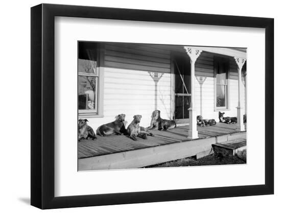Premium Photographic Print, , large