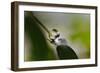 Relaxed ll-Heidi Westum-Framed Photographic Print