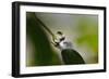 Relaxed ll-Heidi Westum-Framed Photographic Print