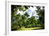 Relaxing day at Central Park-Philippe Hugonnard-Framed Giclee Print