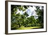 Relaxing day at Central Park-Philippe Hugonnard-Framed Giclee Print