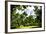 Relaxing day at Central Park-Philippe Hugonnard-Framed Giclee Print