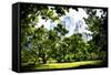 Relaxing day at Central Park-Philippe Hugonnard-Framed Stretched Canvas