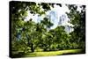 Relaxing day at Central Park-Philippe Hugonnard-Stretched Canvas