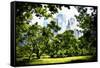 Relaxing day at Central Park-Philippe Hugonnard-Framed Stretched Canvas