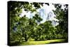 Relaxing day at Central Park-Philippe Hugonnard-Stretched Canvas