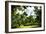 Relaxing day at Central Park-Philippe Hugonnard-Framed Giclee Print