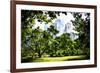 Relaxing day at Central Park-Philippe Hugonnard-Framed Giclee Print