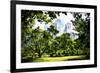 Relaxing day at Central Park-Philippe Hugonnard-Framed Giclee Print