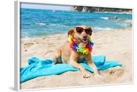 Relaxing Dog At The Beach With Flowers Garland-Ivonnewierink-Framed Photographic Print