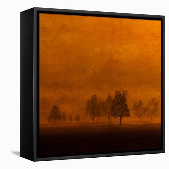 Relaxing in the Land of Az-Philippe Sainte-Laudy-Framed Stretched Canvas