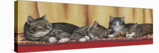 Relaxing Tabbies-Janet Pidoux-Stretched Canvas