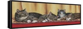 Relaxing Tabbies-Janet Pidoux-Framed Stretched Canvas