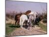 Relay Hunting, 1887-Rosa Bonheur-Mounted Giclee Print