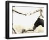 Relay Racers Handing Off the Baton-null-Framed Photographic Print