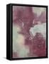 Released II-Rikki Drotar-Framed Stretched Canvas