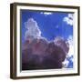 Relentless Light, 2012-Helen White-Framed Premium Giclee Print