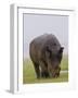 Relentless-Susann Parker-Framed Premium Photographic Print