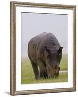 Relentless-Susann Parker-Framed Photographic Print