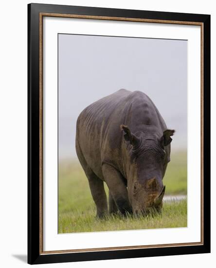 Relentless-Susann Parker-Framed Photographic Print