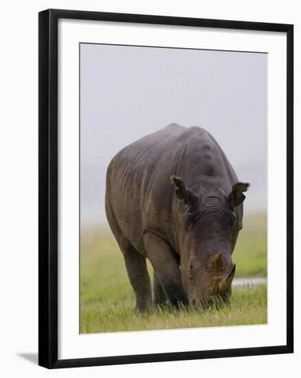 Relentless-Susann Parker-Framed Photographic Print