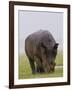 Relentless-Susann Parker-Framed Photographic Print