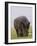 Relentless-Susann Parker-Framed Photographic Print