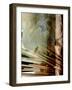 Relic Fan I-Danielle Harrington-Framed Photographic Print